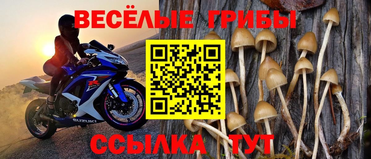 Псилоцибиновые грибы GOLDEN TEACHER Анапа