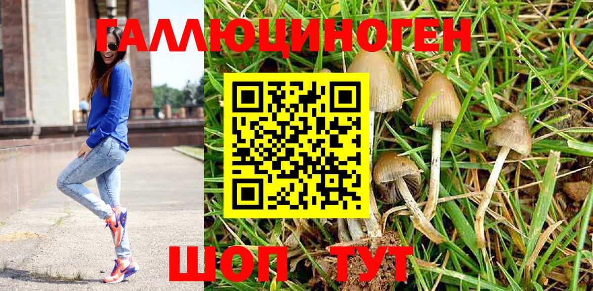 Псилоцибиновые грибы мицелий  Вход с VPN  Анапа 
